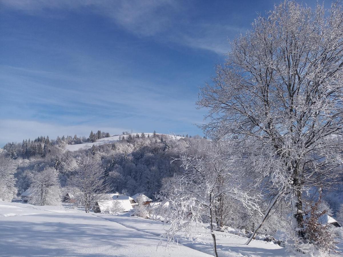 Верховинський Котедж Bukovets Extérieur photo