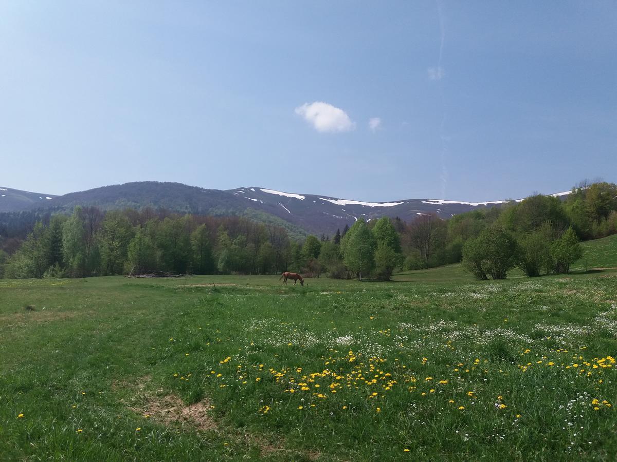 Верховинський Котедж Bukovets Extérieur photo