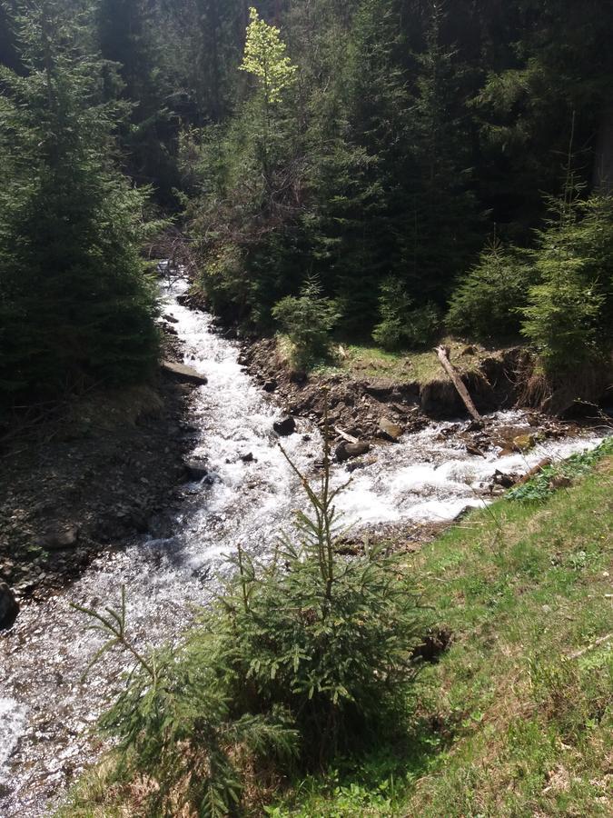 Верховинський Котедж Bukovets Extérieur photo